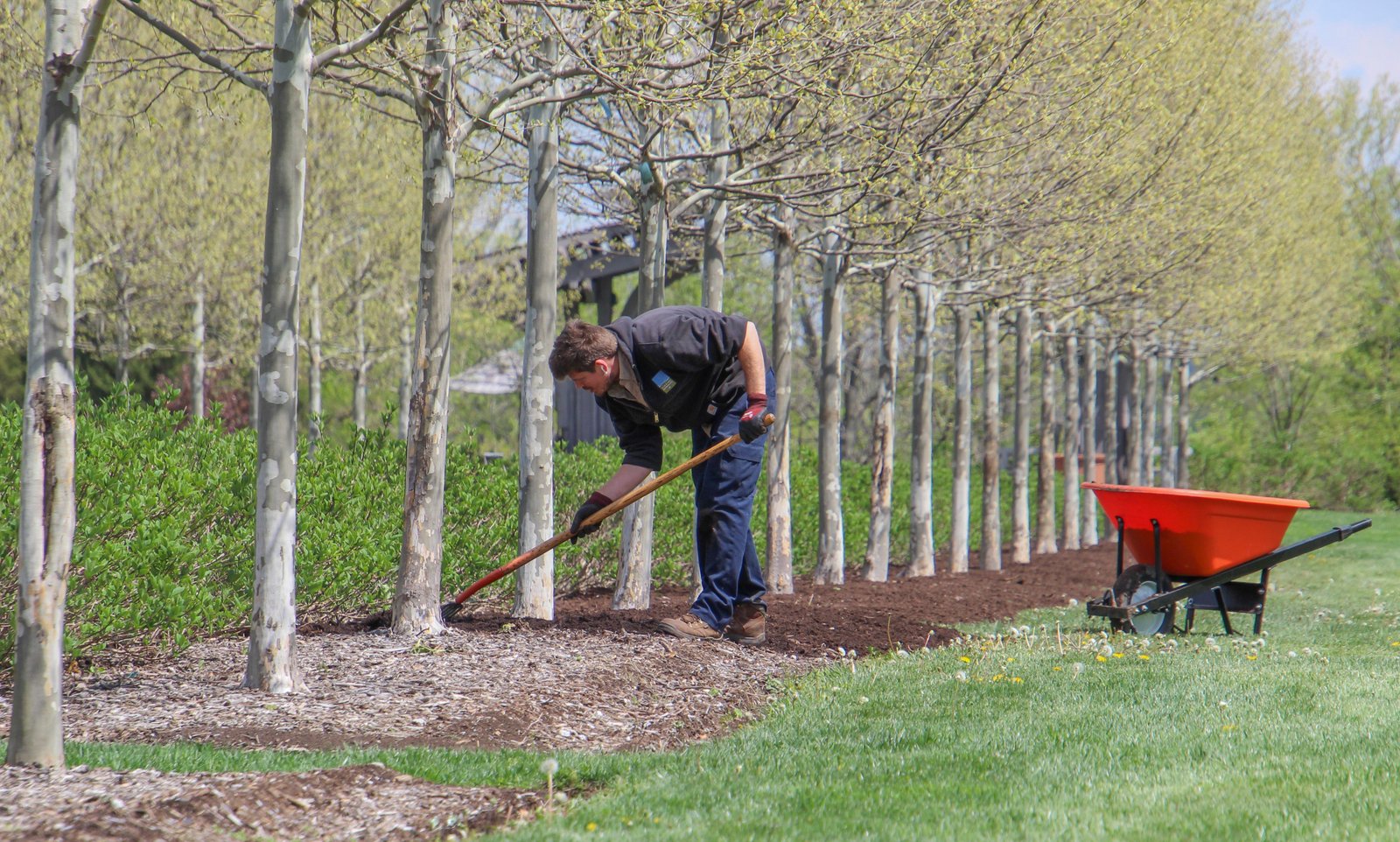 Irrigation systems